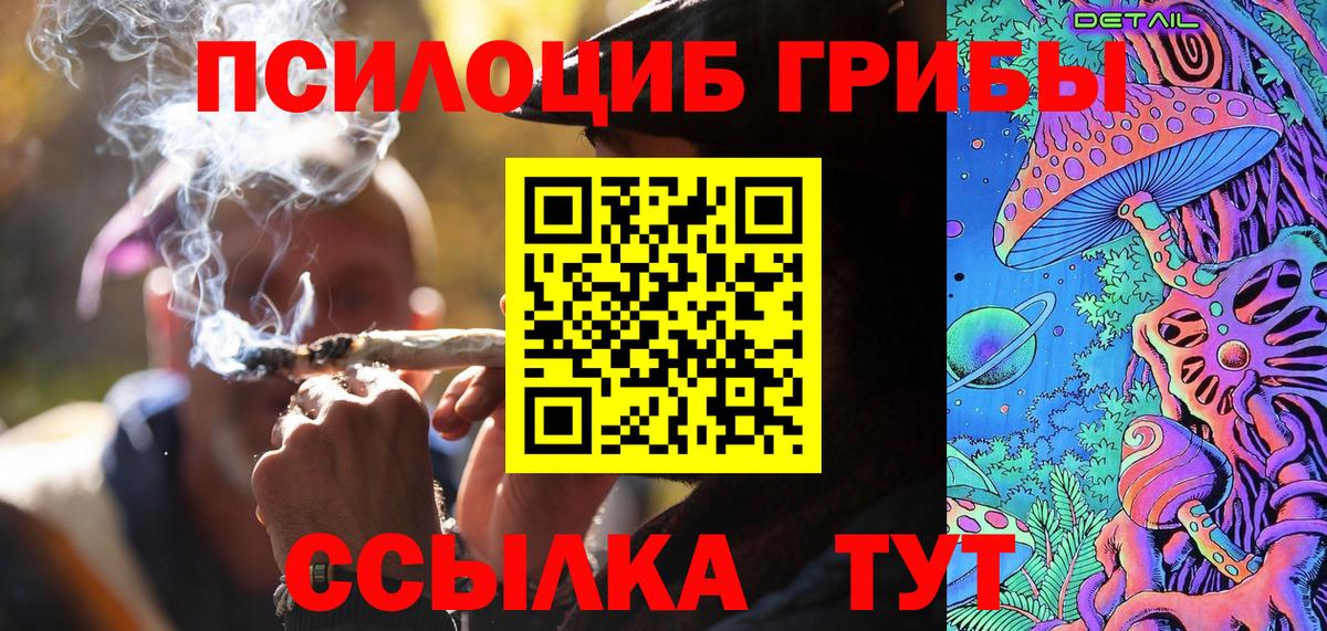 магазин    Вход с VPN  Щёлково  Псилоцибиновые грибы Psilocybine cubensis 